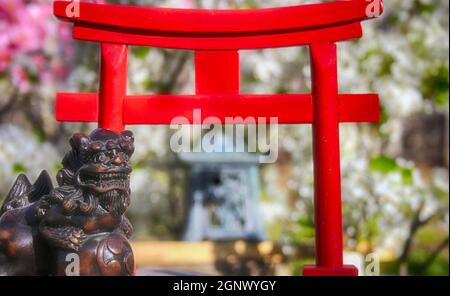 Torii-Tor mit Birnen- und Kirschblüten im Hintergrund Stockfoto