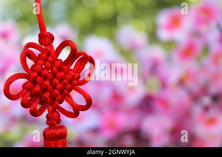 Chinesischer Feng Shu Reichtum und Erfolg Münzen mit Knot. Chinesische Neujahrsdekoration Stockfoto