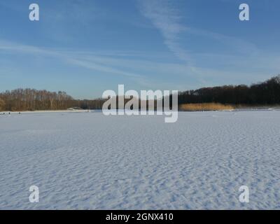 Gefrorener See sauber flachen Schneewald am Horizont, Winterlandschaft Stockfoto