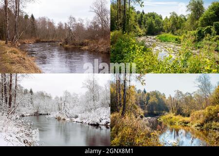 Schöne Collage von 4 Jahreszeiten, verschiedene Bilder aber gleichen Ort eines Flusses in der Wildnis. Frühlingsbelaub, grüner frischer heller Sommertag, herbstlicher lea Stockfoto