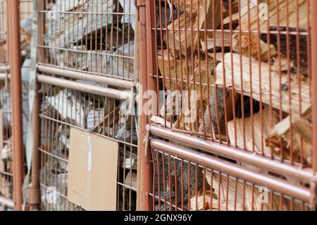 Formatfüllende Außenansicht mit geringer Schärfentiefe der aufgereihten Gitterstapelboxen gefüllt mit Brennholz. Stockfoto