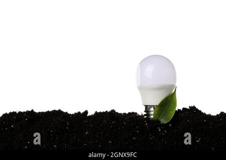 Energiesparlampe mit Blatt im Boden isoliert auf weißem Hintergrund. Stockfoto