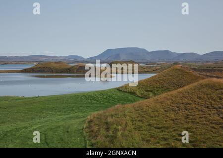 Schöne und seltene Gegend von Pseudo-Krater aka Vulkanen in der Nähe von Skutustadir und See Myvatn in Island. Stockfoto