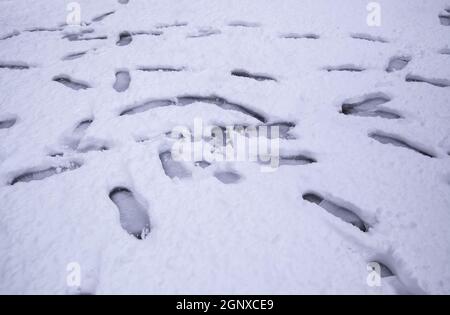 Detail der Schritte einer Person an einem kalten und winterlichen Tag Stockfoto
