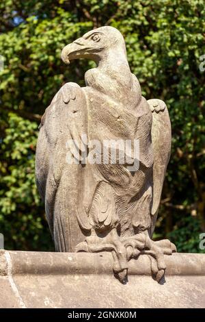Geier Steinadler Skulptur aus der Animal Wall von Cardiff Castle in Wales erbaut im Jahr 1890 in Castle Street, die Ist ein beliebtes Reiseziel für Stockfoto