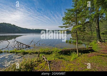 Weitläufiger Blick auf den Crooked Lake in der Sylvania Wilderness in Michigan Stockfoto