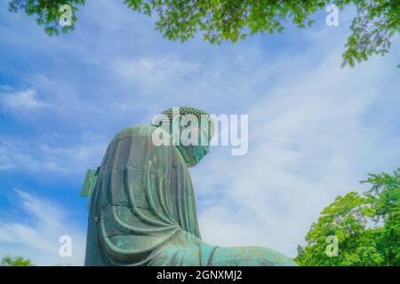 Bild der Kamakura Halle des Großen Buddha Kotokuin. Aufnahmeort: Kamakura, Präfektur Kanagawa Stockfoto