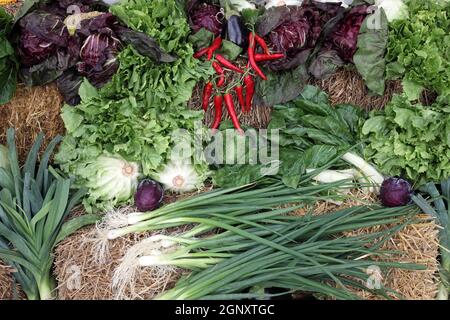 Verschiedene Arten von Obst und Gemüse zum Verkauf, bei der Veranstaltung Dionysius Zeremonie in Scitarjevo, Kroatien ausgesetzt Stockfoto