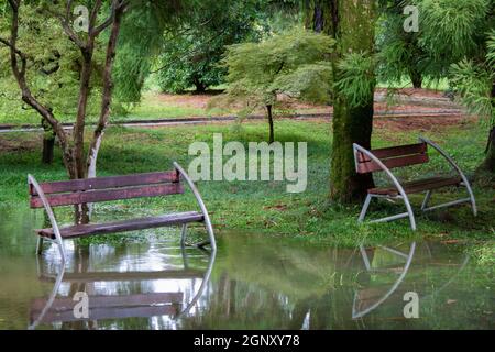 Zwei nasse leere Bänke in einem überfluteten Park im Schatten der Bäume. Erholungsgebiet im Sommer. Nach heftigen Regenfällen ist der Park überflutet. Stockfoto