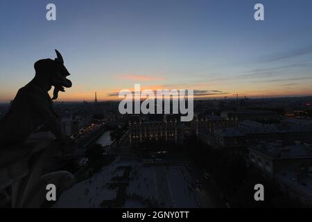 Die Notre-Dame-Chimären den Sonnenuntergang in Paris Stockfoto