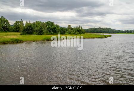 Idyllische Uferlandschaft rund um Wiesenfelden im Bayerischen Wald bei Sommerzeit Stockfoto