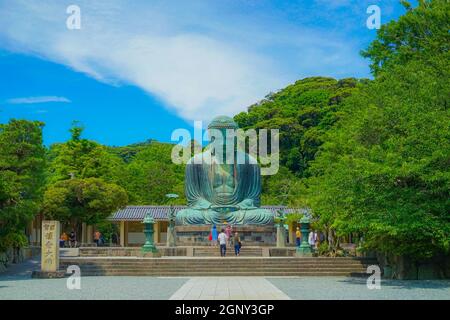 Frühsommer des Großen Buddha von Kamakura, der in frisches Grün gehüllt war. Aufnahmeort: Kamakura, Präfektur Kanagawa Stockfoto
