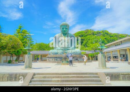 Frühsommer des Großen Buddha von Kamakura, der in frisches Grün gehüllt war. Aufnahmeort: Kamakura, Präfektur Kanagawa Stockfoto