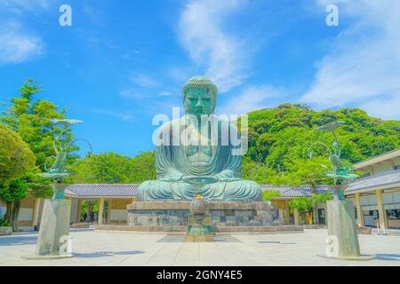 Frühsommer des Großen Buddha von Kamakura, der in frisches Grün gehüllt war. Aufnahmeort: Kamakura, Präfektur Kanagawa Stockfoto