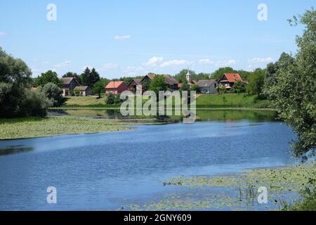 Fluss Sava, und das Dorf Muzilovcica, Lonjsko Polje Naturpark, Kroatien Stockfoto