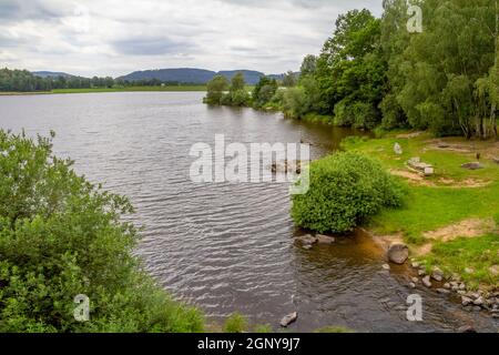 Idyllische Uferlandschaft rund um Wiesenfelden im Bayerischen Wald bei Sommerzeit Stockfoto