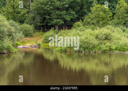 Idyllische Uferlandschaft rund um Wiesenfelden im Bayerischen Wald bei Sommerzeit Stockfoto