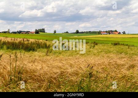 Idyllische Landschaft rund um Wiesenfelden im Bayerischen Wald im Sommer Zeit Stockfoto