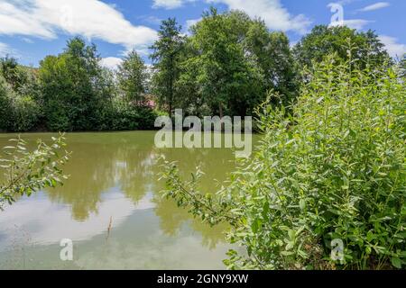 Idyllische Uferlandschaft rund um Wiesenfelden im Bayerischen Wald bei Sommerzeit Stockfoto