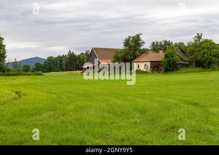 Idyllische Bauernlandschaft rund um Wiesenfelden im Bayerischen Wald bei Sommerzeit Stockfoto