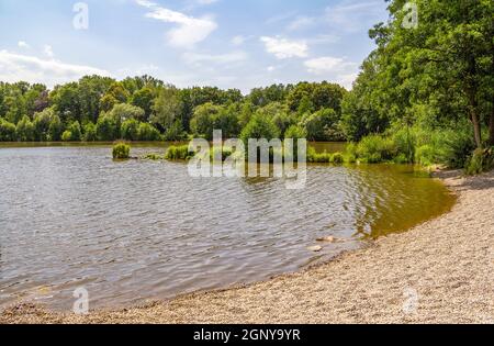 Idyllische Uferlandschaft rund um Wiesenfelden im Bayerischen Wald bei Sommerzeit Stockfoto