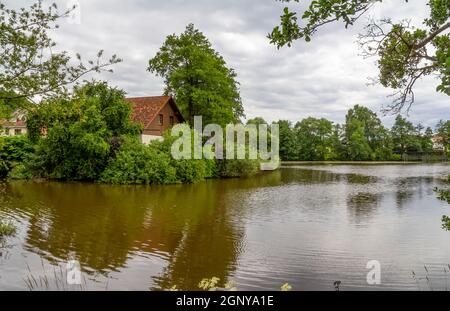 See in Wiesenfelden, einer Gemeinde in Bayern, Deutschland, im Sommer Stockfoto