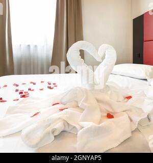 Zwei Handtuchschwäne und Rosenblätter auf dem Bett im hellen Hotelzimmer. Für Paare in Honey Moon und Valentinstag. Stockfoto