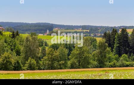 Idyllische Landschaft rund um Wiesenfelden im Bayerischen Wald im Sommer Zeit Stockfoto