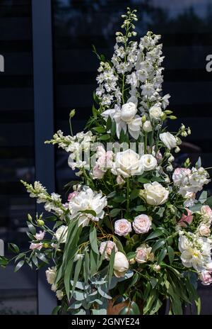 Beeindruckendes floristisches Bouquet von weißen Rosen und Delphinium - grün Drehen Stockfoto
