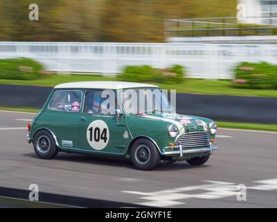 1964 Morris Mini Cooper S Rennwagen beim Goodwood Revival Testtag. Stockfoto