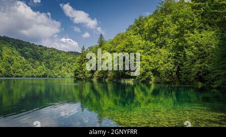 Schönes türkisfarbenes Ende smaragdgrünes Wasser mit Bäumen in einem See reflektiert. Grüner, üppiger Wald, Nationalpark Plitvicer Seen UNESCO Weltkulturerbe in Kroatien Stockfoto