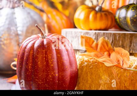 Kleiner roter Kürbis neben Heu bedeckt mit Blättern, orangefarbenen Kürbissen, orangefarbenem Kürbis und einem grünen Kürbis auf Holz neben einem silbernen Kürbis mit goldenem b Stockfoto