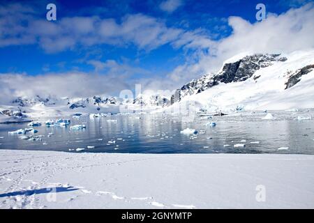 Eisberge und Berge von Cuverville Island in der Nähe der antarktischen Halbinsel, Antarktis Stockfoto