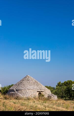 Trulli, typische Häuser in der Nähe von Castel del Monte, Region Apulien, Italien Stockfoto