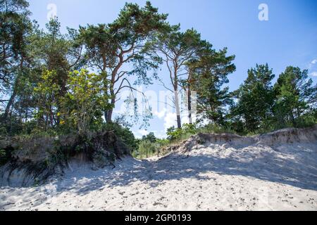 Zugang zum Strand über eine Sanddüne Sommer Stockfoto