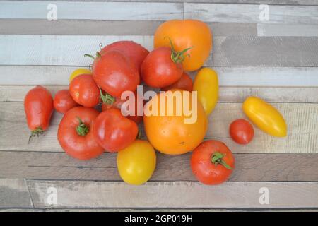 Tomate gemischte Sorte bunt rot grün gelb auf rustikalem Hintergrund Draufsicht Stockfoto