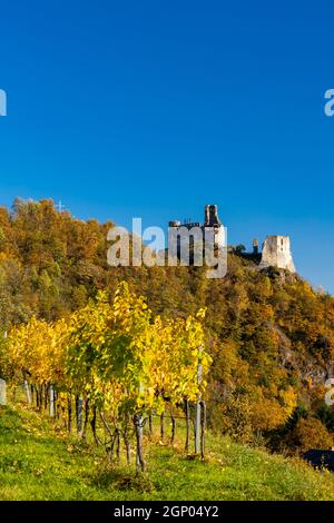 Ruinen von Senftenberg, Bezirk Krems-Land, Oberösterreich, Österreich Stockfoto