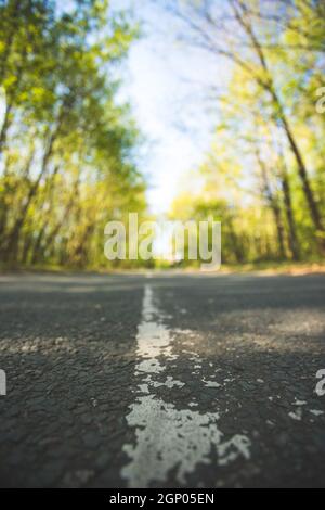 Die asphaltierte Straße in den Wald: Nahaufnahme, Perspektive, verschwommenen Hintergrund Stockfoto