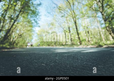 Die asphaltierte Straße in den Wald: Nahaufnahme, Perspektive, verschwommenen Hintergrund Stockfoto