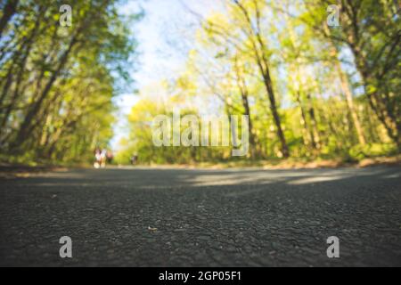 Die asphaltierte Straße in den Wald: Nahaufnahme, Perspektive, verschwommenen Hintergrund Stockfoto