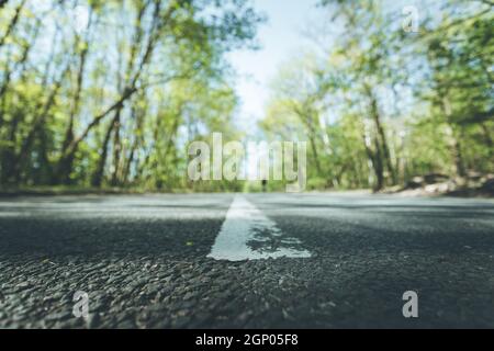 Die asphaltierte Straße in den Wald: Nahaufnahme, Perspektive, verschwommenen Hintergrund Stockfoto