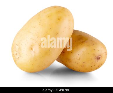 Zwei ganze gelbe Kartoffeln. Isoliert auf weißem Hintergrund. Nahaufnahme Stockfoto