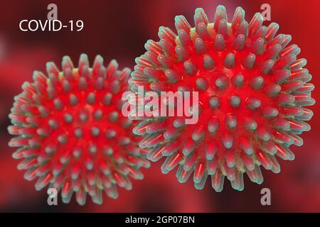 Ausbruch des Coronavirus. Nahaufnahme von zwei roten abstrakten Modellen eines neuartigen Stammes des Coronavirus COVID-19 über abstraktem, verschwommenem roten Hintergrund. Global Stockfoto