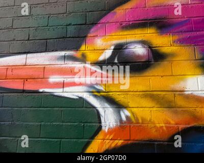 Street Art - Wandkunst mit Eisvöglern (Alcedo atthis), die auf den River Aire Brücken in Leeds West Yorkshire UK zu sehen sind Stockfoto