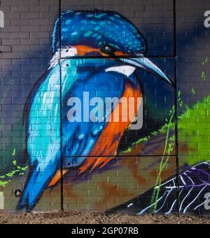 Street Art - Wandkunst mit Eisvöglern (Alcedo atthis), die auf den River Aire Brücken in Leeds West Yorkshire UK zu sehen sind Stockfoto