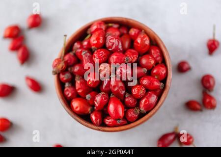 Heilpflanzen und Kräuter. Hagebutten Beeren auf Betongrund mit Kopierraum. Getrocknete Früchte für Kräutertees und ätherische Öle. Selektiver Fokus Stockfoto