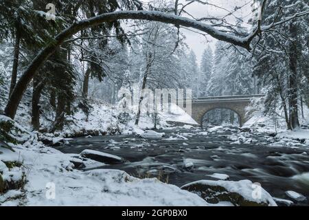 Divoka Orlice Fluss in Zemska brana, Orlicke Gebirge, Ostböhmen, Tschechische Republik Stockfoto