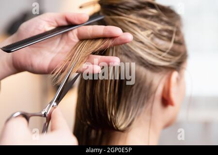 Friseur Schneiden blonde Frauen gespalten und trockenes Haar endet zu Hause oder im Salon. Stockfoto