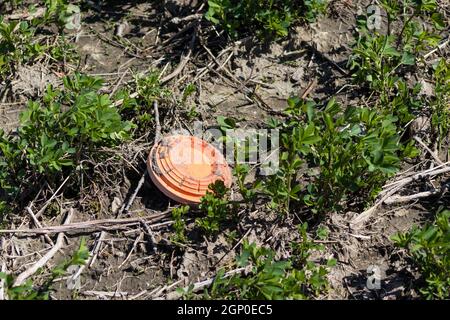 Tontauben liegen auf dem Feld nicht erschossen. Hochwertige Fotos Stockfoto