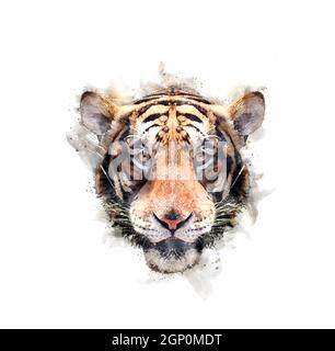 Porträt des Tigers Kopf Aquarell Stil. Stockfoto